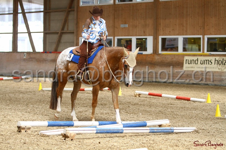 28-ApHC OT_026.jpg